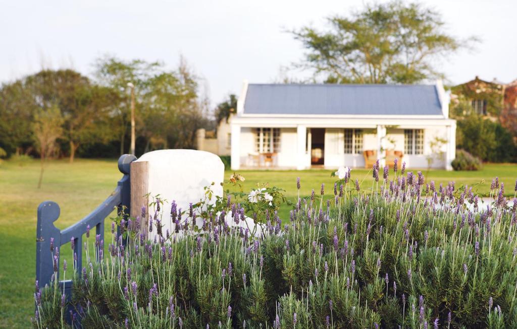 Elephant House Addo Rum bild